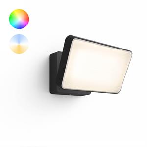 Philips Hue White & Color Ambiance Discover Floodlight