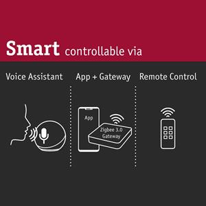 Paulmann Smart Friends Cephei Schalt-Controller