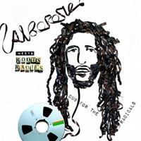 Vp Greensleeves Meets Roots Radics - Dub For The Radicals - Alborosie