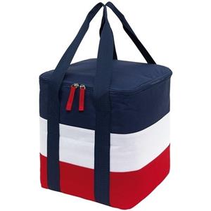 Grote koeltas blauw/wit/rood met hengsels 17 liter Multi