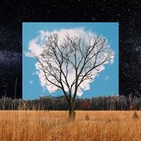 Ninja Tune Bloom Innocent - Fink