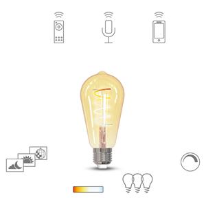 tint LED-Leuchtmittel (einzeln) Edison Bulb Gold retro white+ambiance EEK: A+ (A++ - E