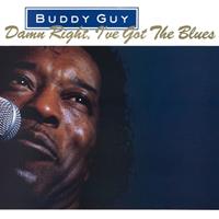 Music On Vinyl Damn Right, I've Got The Blues - Buddy Guy