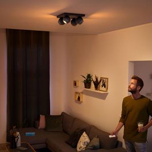 Philips LED-plafond- en wandlamp Buckram GU10 20 W