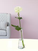 Enkele witte roos, inclusief vaasje | Rozen online bestellen & versturen | .nl