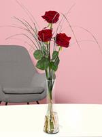 Drei Rote Rosen inklusive Glasvase | Rosenstrauß online bestellen | Rosenversand Surprose.de