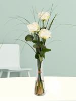 Drei Weiße Rosen inklusive Glasvase | Rosenstrauß online bestellen | Rosenversand Surprose.de