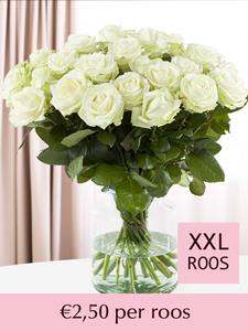 Witte rozen - Kies je aantal | Rozen online bestellen & versturen | .nl