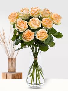 10 zalmkleurige rozen - Avalanche Peach | Rozen online bestellen & versturen | .nl