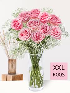 Surprose 10 roze rozen met gipskruid (XXL rozen) | Rozen online bestellen & versturen | .nl