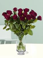 Surprose 20 dieprode rozen - Black Baccara | Rozen online bestellen & versturen | .nl