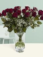 Surprose 20 dieprode rozen met gipskruid - Black Baccara | Rozen online bestellen & versturen | .nl