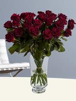 Surprose 30 dieprode rozen - Black Baccara | Rozen online bestellen & versturen | .nl