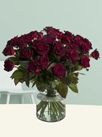 Surprose 50 dieprode rozen - Black Baccara | Rozen online bestellen & versturen | .nl