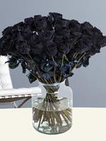 Surprose 50 zwarte rozen | Rozen online bestellen & versturen | .nl