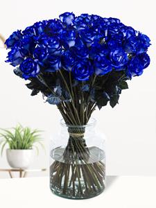 Surprose 50 blauwe rozen | Rozen online bestellen & versturen | .nl