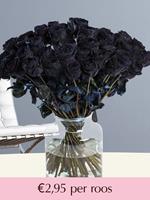 Surprose Zwarte rozen - Kies je aantal | Rozen online bestellen & versturen | .nl