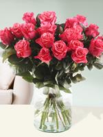 Surprose 20 roze Tacazzi rozen | Rozen online bestellen & versturen | .nl