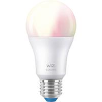 WiZ E27 LED-Lampe Birne A60 G3 matt 9W RGBW