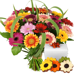 Boeketcadeau Gerbera bloemen met chocolade bezorgen