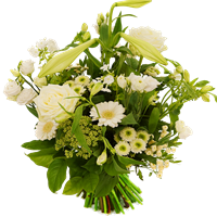 Boeketcadeau Speels plukboeket witte bloemen