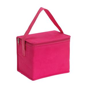 Bellatio Kleine koeltas voor lunch roze 20 x 13 x 17 cm 4.5 liter -