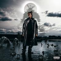 Interscope Fighting Demons - Juice Wrld
