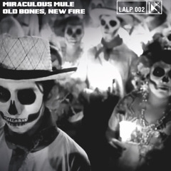 MIRACULOUS MULE - Old Bones, New Fire (CD)