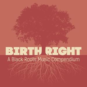 Concord Records Birthright: A Black Roots Music Compendium - V/a (various Artists)