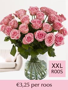 Surprose Roze rozen XXL - Kies je aantal (Sophia Loren) - 10 t/m 99 rozen