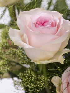 Surprose Geboorteboeket roze + gratis glasvaas