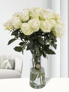 Surprose 20 witte rozen uit Ecuador