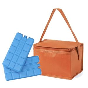 Kleine koeltas oranje voor 6 blikjes inclusief 2 koelelementen -