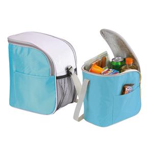 Kleine koeltas/Lunch tas model Glaciaal - 2x - 23 x 16 x 26 cm - 1 vaks - ijsblauw/grijs - 9 Liter -