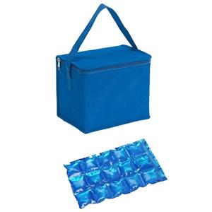 Kleine koeltas voor lunch blauw met 2 stuks flexibele koelelementen 4.5 l -