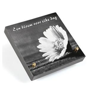 Gedenkartikelen Gedenksteen 15x15cm met lasergravure + tekst: Een bloem voor elke dag