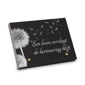 Gedenksteen 20x15cm met Paardenbloem: Een leven vervliegt