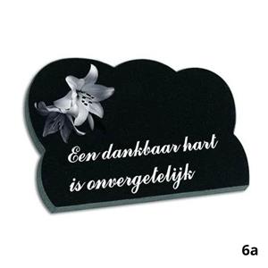 Gedenkartikelen Gedenkplaat 18x25cm: tekst + lasertekening