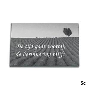 Gedenkartikelen Gedenkplaat 20x30cm: tekst + laserfoto volledig dekkend