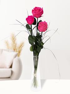 Surprose Drie roze long life rozen inclusief vaasje