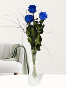 Surprose Drie blauwe long life rozen inclusief vaasje
