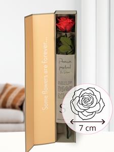 Surprose Rode premium long life roos in geschenkdoos