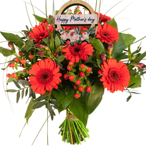 Boeketcadeau Rood voordeel boeket met bijsteker Happy mothersday