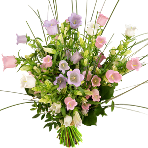 Boeketcadeau Campanula boeket en beregras