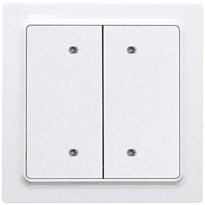 Eltako B4T55E-wg Toets Draadloos 4-kanaals Opbouw (op muur) Bereik max. (in het vrije veld) 30 m
