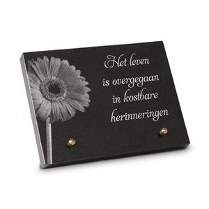 Gedenkartikelen Gedenksteen 20x15cm met Gerbera: Het leven is overgegaan