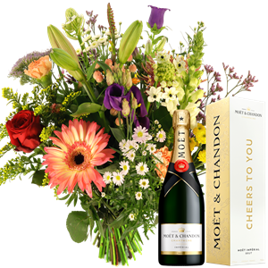 Boeketcadeau Veldgeplukt seizoens boeket + Moet Chandon Champagne Cheers to You