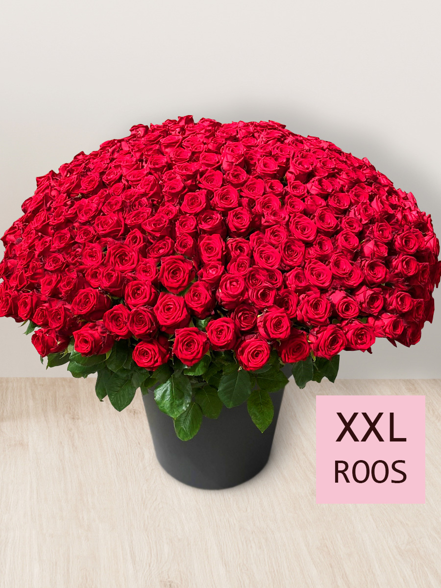 Surprose Boeket van 365 rode rozen - Red Naomi