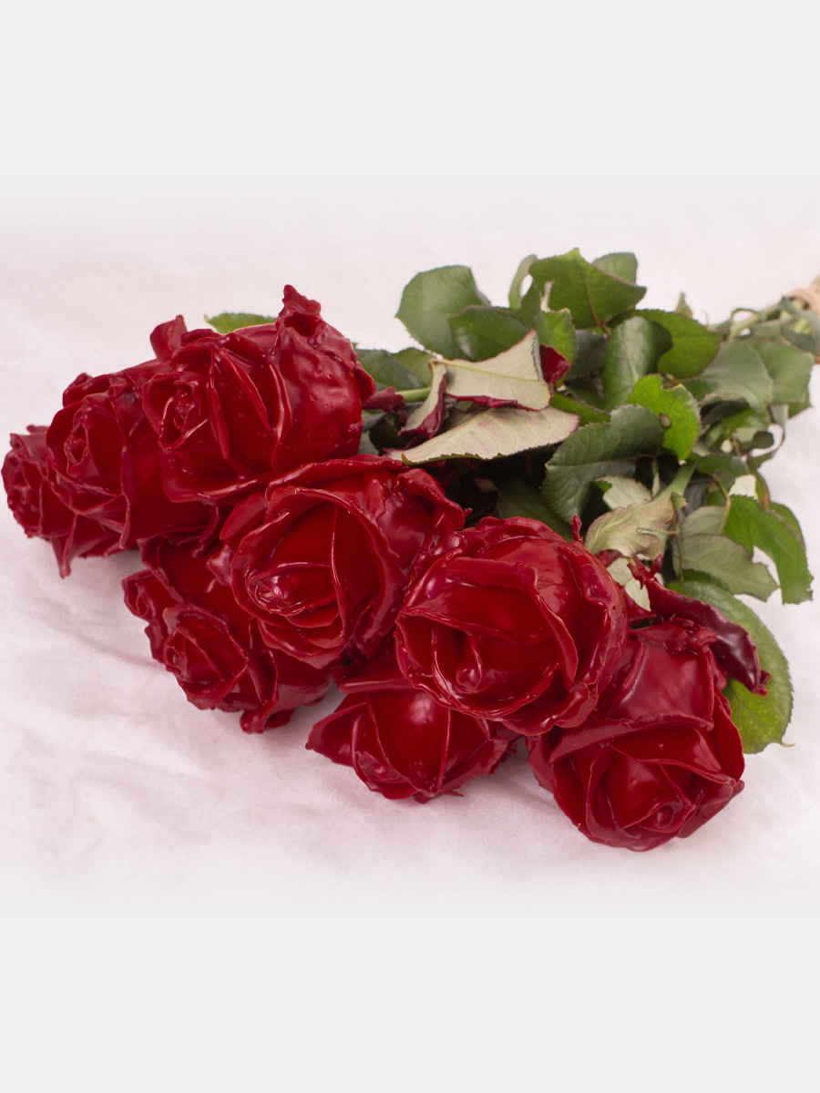 Surprose 10 bordeaux rode waxrozen