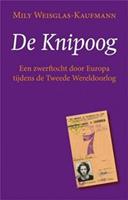 De knipoog